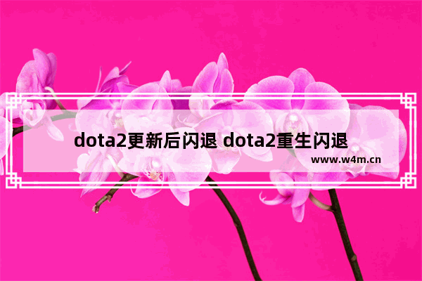 dota2更新后闪退 dota2重生闪退