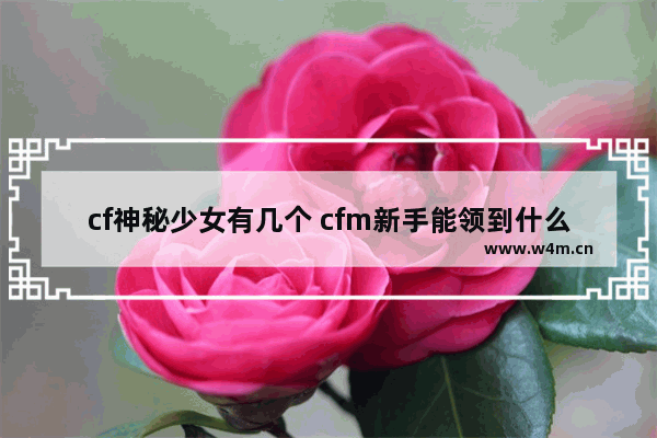 cf神秘少女有几个 cfm新手能领到什么奖励