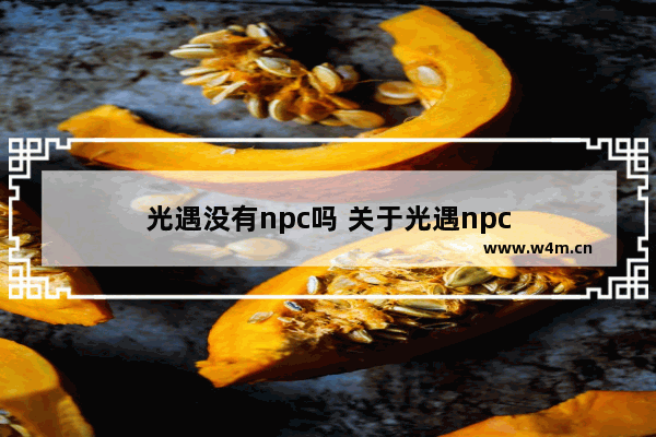 光遇没有npc吗 关于光遇npc