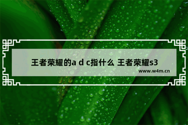 王者荣耀的a d c指什么 王者荣耀s33英雄强度排行