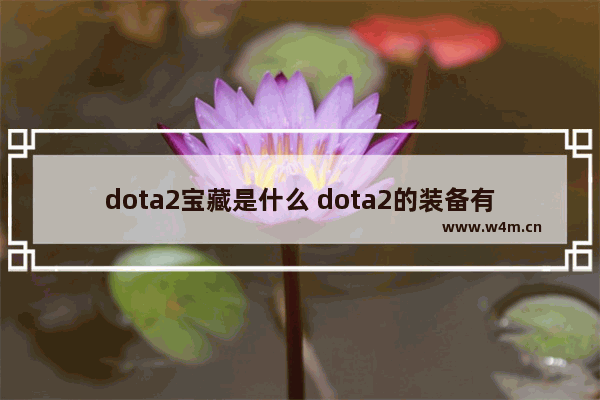 dota2宝藏是什么 dota2的装备有什么用