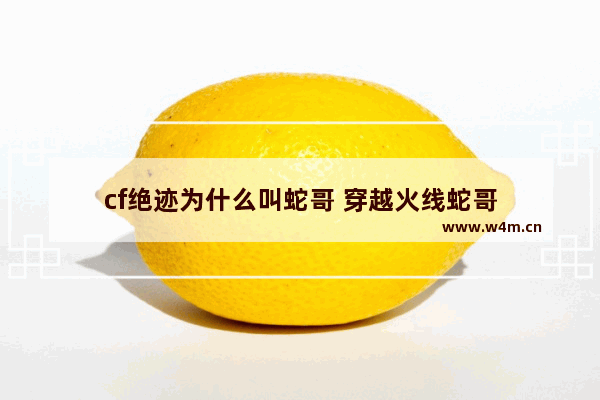 cf绝迹为什么叫蛇哥 穿越火线蛇哥