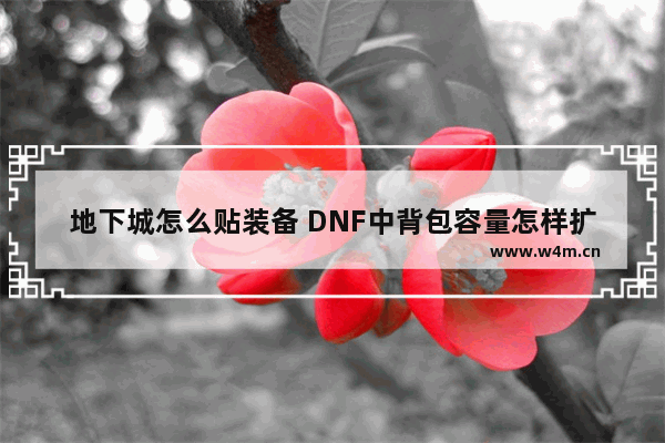 地下城怎么贴装备 DNF中背包容量怎样扩充