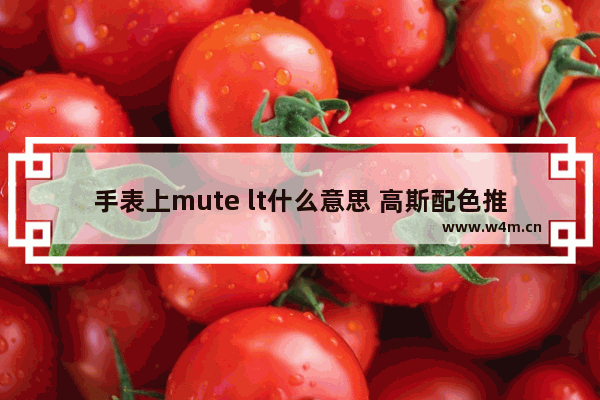 手表上mute lt什么意思 高斯配色推荐