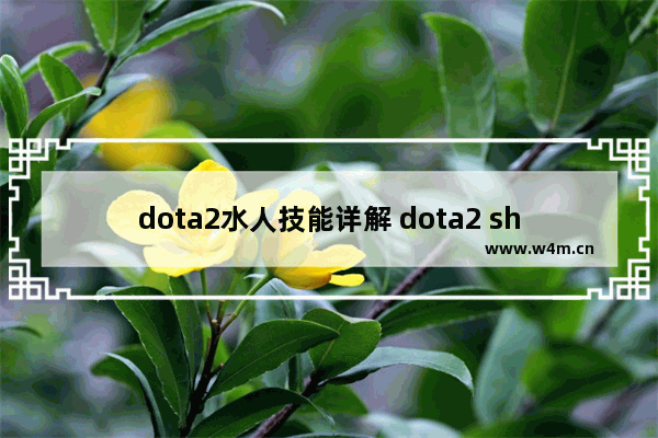 dota2水人技能详解 dota2 shadow