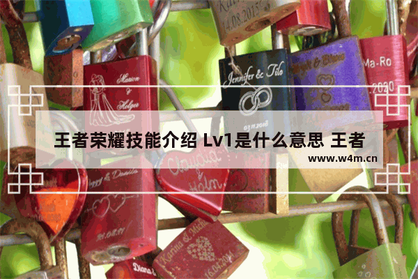 王者荣耀技能介绍 Lv1是什么意思 王者荣耀五个技能英雄