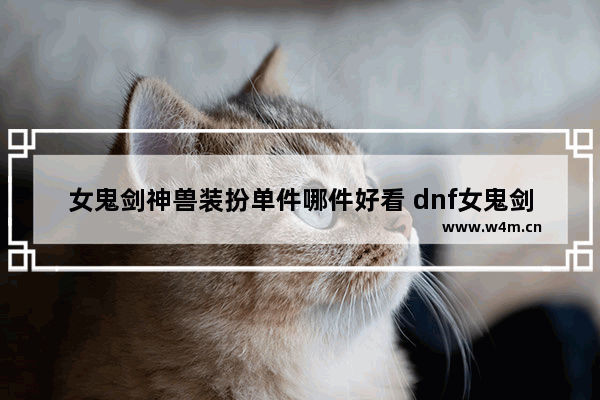 女鬼剑神兽装扮单件哪件好看 dnf女鬼剑穿什么甲