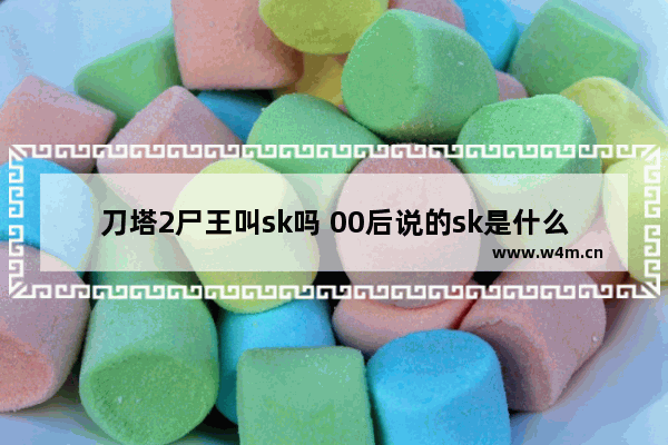 刀塔2尸王叫sk吗 00后说的sk是什么意思