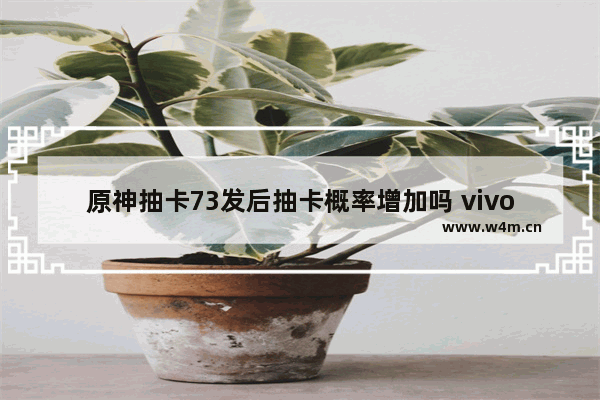 原神抽卡73发后抽卡概率增加吗 vivoy73s可以玩原神吗