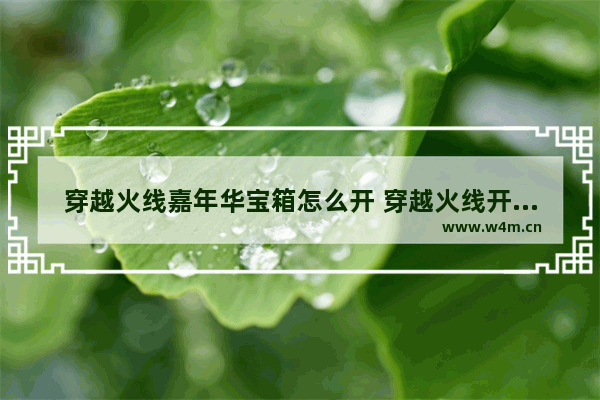 穿越火线嘉年华宝箱怎么开 穿越火线开宝箱