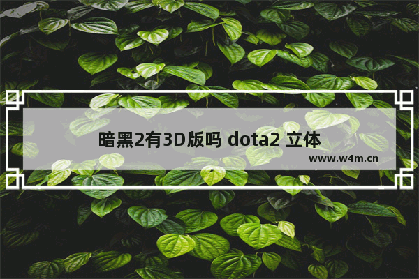 暗黑2有3D版吗 dota2 立体