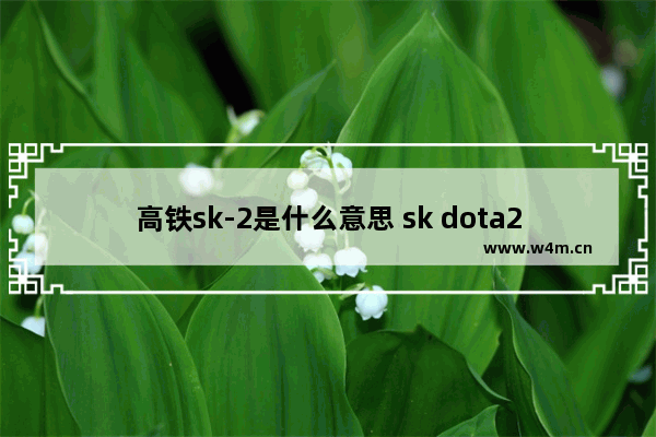 高铁sk-2是什么意思 sk dota2