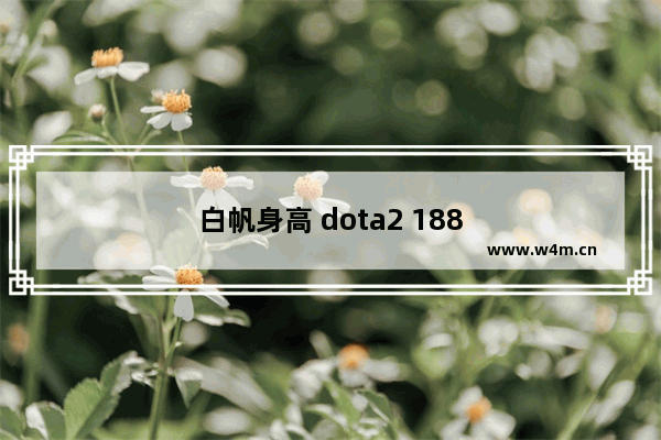 白帆身高 dota2 188