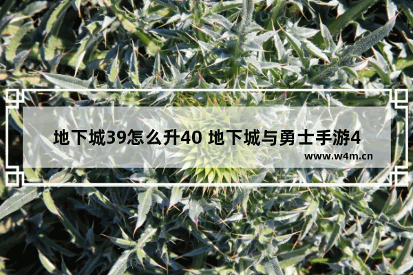 地下城39怎么升40 地下城与勇士手游40级