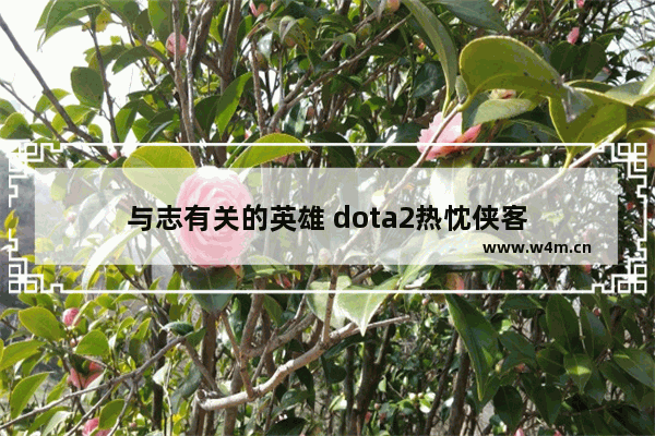 与志有关的英雄 dota2热忱侠客