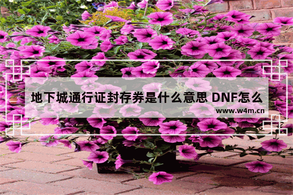 地下城通行证封存券是什么意思 DNF怎么冻结游戏