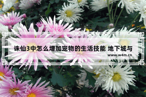 诛仙3中怎么增加宠物的生活技能 地下城与勇士商人生活技能