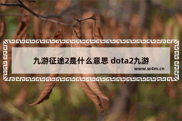 九游征途2是什么意思 dota2九游