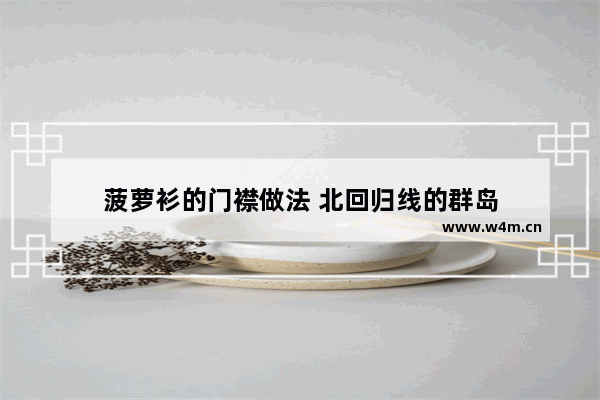 菠萝衫的门襟做法 北回归线的群岛