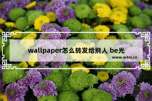 wallpaper怎么转发给别人 be光遇壁纸