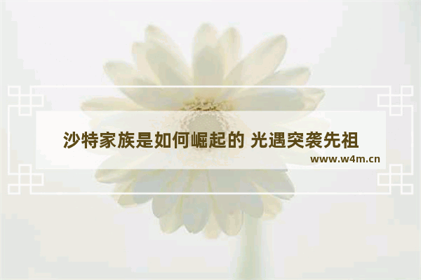 沙特家族是如何崛起的 光遇突袭先祖