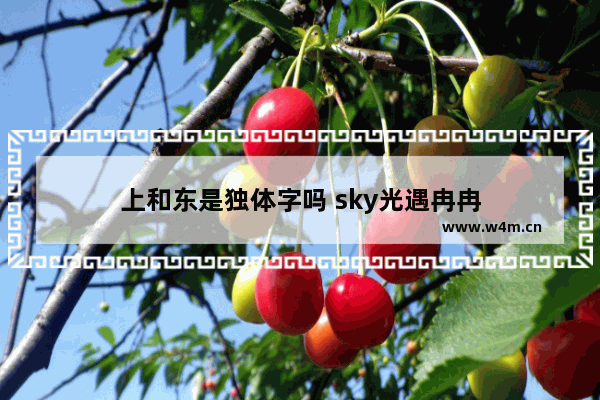 上和东是独体字吗 sky光遇冉冉