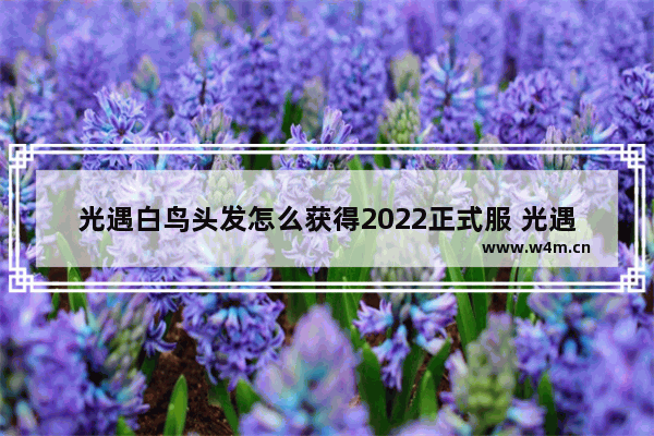 光遇白鸟头发怎么获得2022正式服 光遇白鸟2022