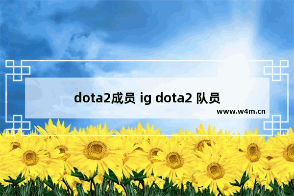 dota2成员 ig dota2 队员