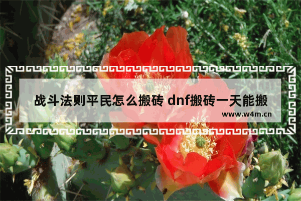 战斗法则平民怎么搬砖 dnf搬砖一天能搬多少金币