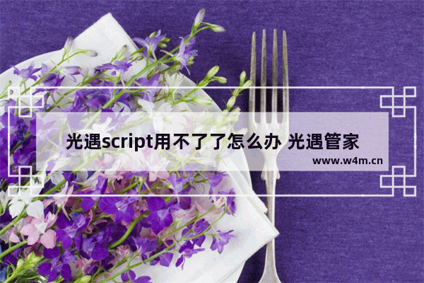 光遇script用不了了怎么办 光遇管家角色