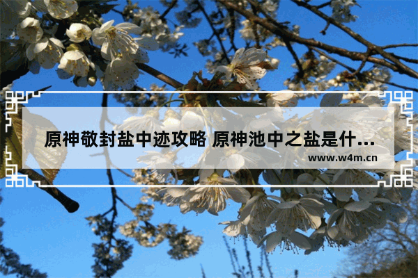 原神敬封盐中迹攻略 原神池中之盐是什么任务