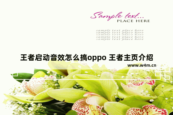 王者启动音效怎么搞oppo 王者主页介绍文案