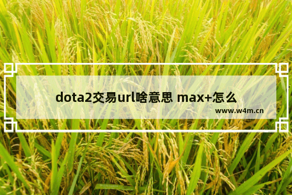 dota2交易url啥意思 max+怎么添加dota2账户