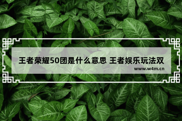 王者荣耀50团是什么意思 王者娱乐玩法双人