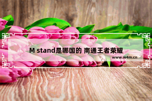 M stand是哪国的 南通王者荣耀