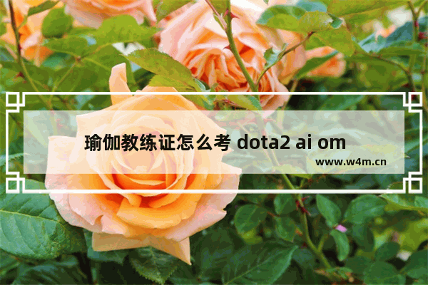 瑜伽教练证怎么考 dota2 ai omg