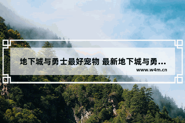 地下城与勇士最好宠物 最新地下城与勇士宠物属性