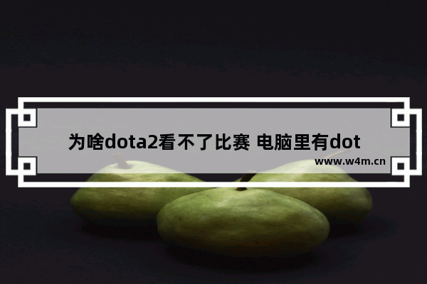 为啥dota2看不了比赛 电脑里有dota2怎么放到steam里