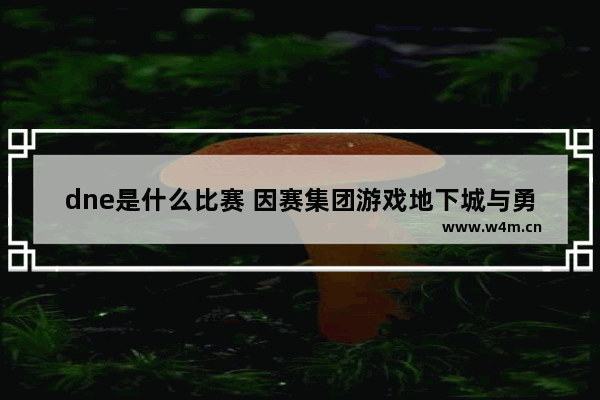 dne是什么比赛 因赛集团游戏地下城与勇士