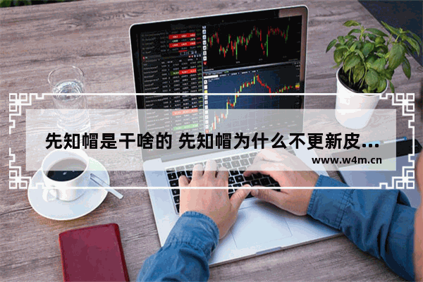 先知帽是干啥的 先知帽为什么不更新皮肤了