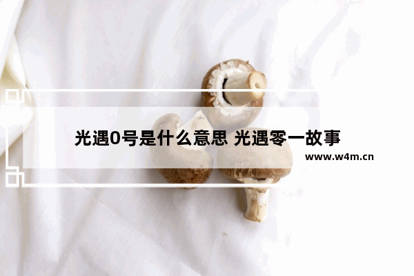 光遇0号是什么意思 光遇零一故事