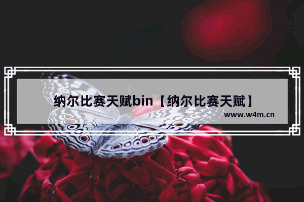 纳尔比赛天赋bin【纳尔比赛天赋】