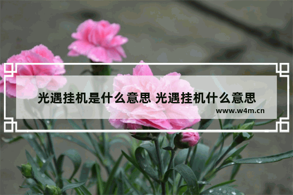 光遇挂机是什么意思 光遇挂机什么意思