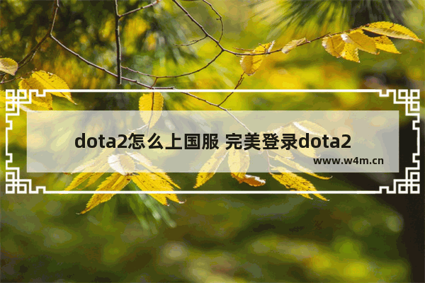 dota2怎么上国服 完美登录dota2