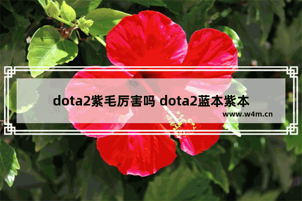 dota2紫毛厉害吗 dota2蓝本紫本是什么意思