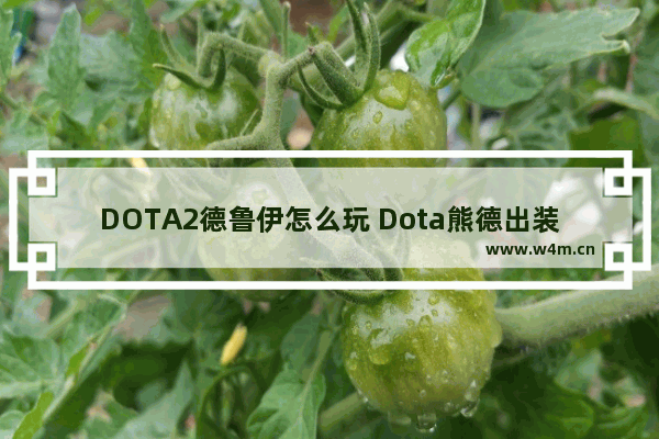 DOTA2德鲁伊怎么玩 Dota熊德出装。刚开始玩熊德 发现很牛啊 给介绍几套出装路线拜托各位大神