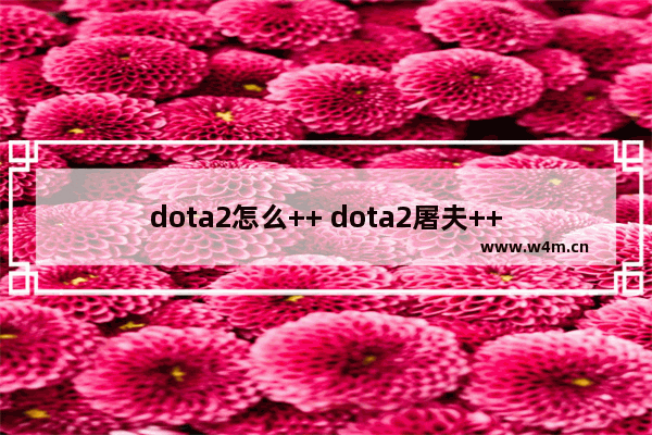 dota2怎么++ dota2屠夫++