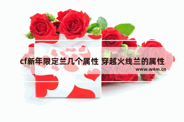 cf新年限定兰几个属性 穿越火线兰的属性