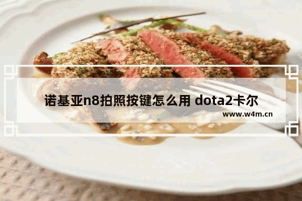 诺基亚n8拍照按键怎么用 dota2卡尔按键