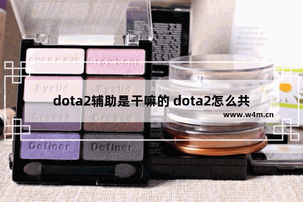 dota2辅助是干嘛的 dota2怎么共享控制队友